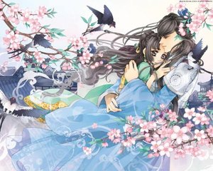 猫咪永久入口网站